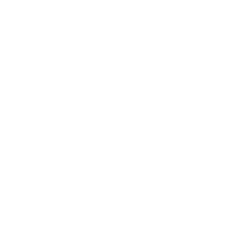 Power Pro Web Logo White